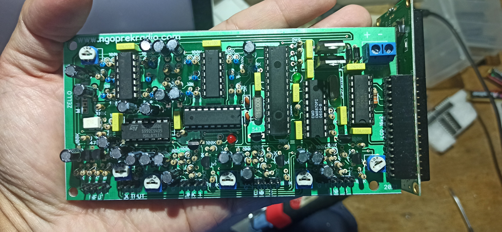 Gallery Photo 11.png